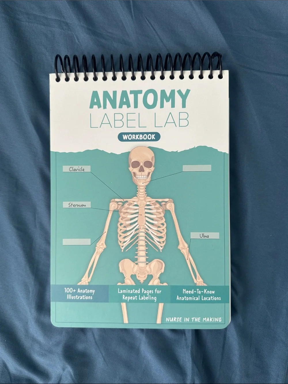 Anatomy - Pharmacology